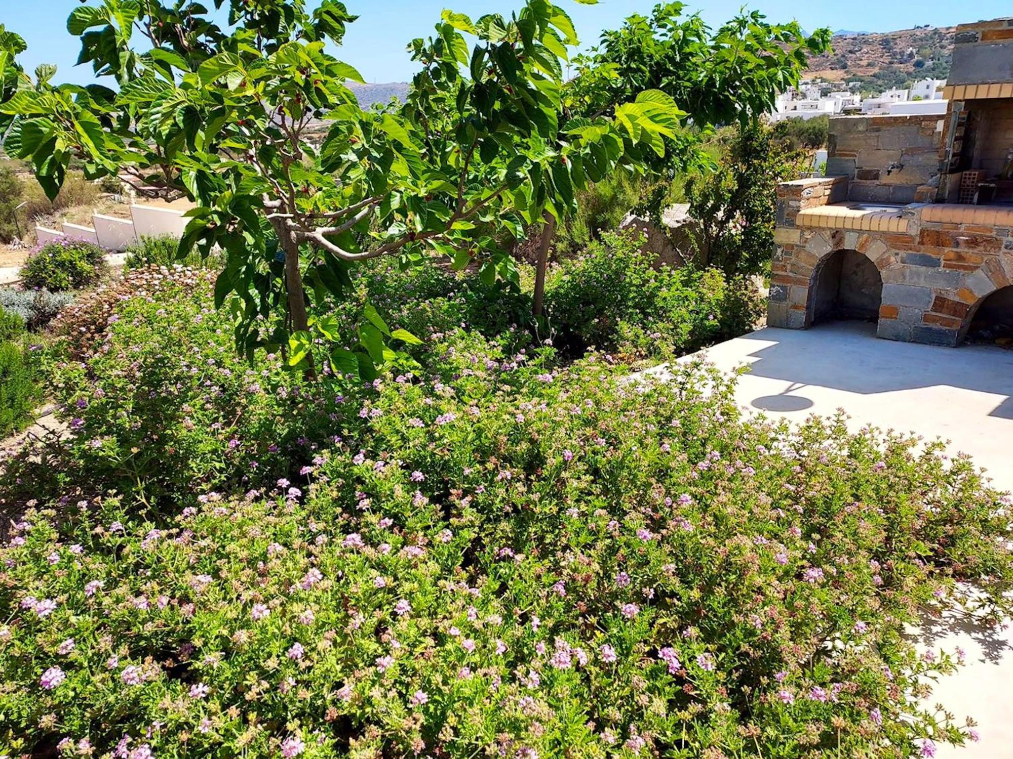 Villa Welcoming Villa In Naxos With Sea And Mountain Views
